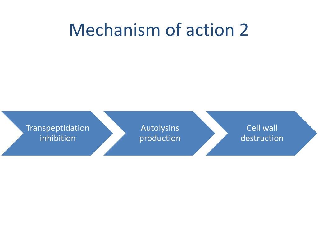 Overview of 2nd Gen Cephalosporins and Their Action